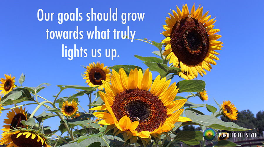 Featured image for “Authentic Goal Setting | From Dreams to Who You’re Becoming”