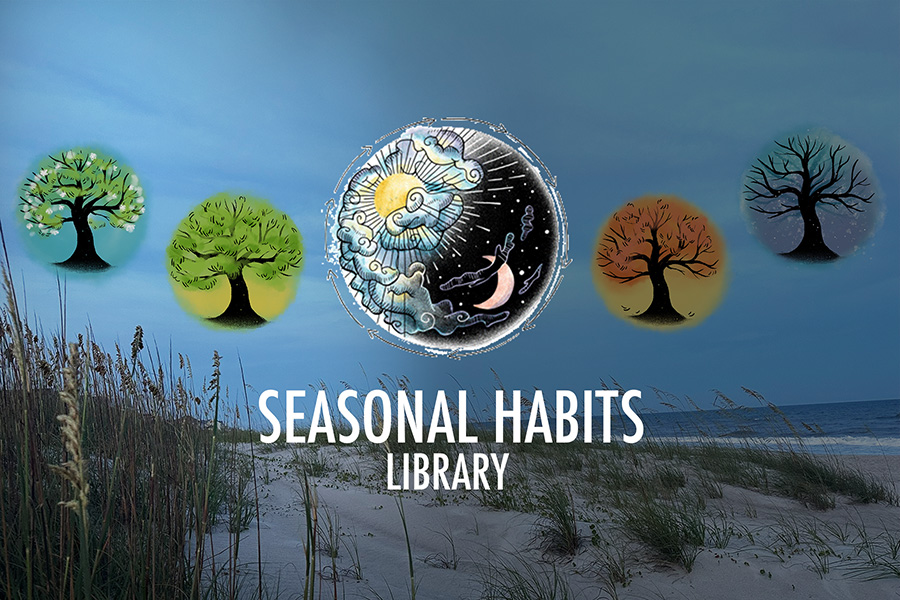Featured image for “Seasonal Habit Library | Simple Anchors for a Balanced Life”