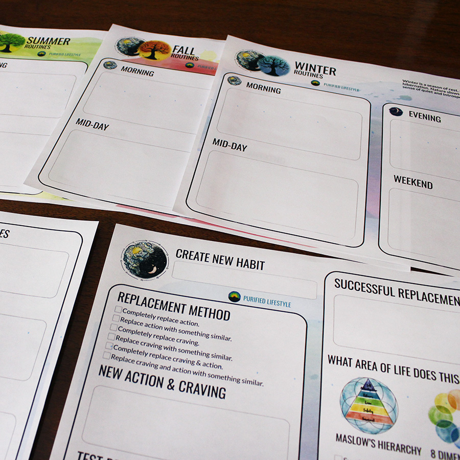 Part 4 | Habits | Lifestyle Organizer